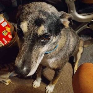 Meet your Posher, Evie jean